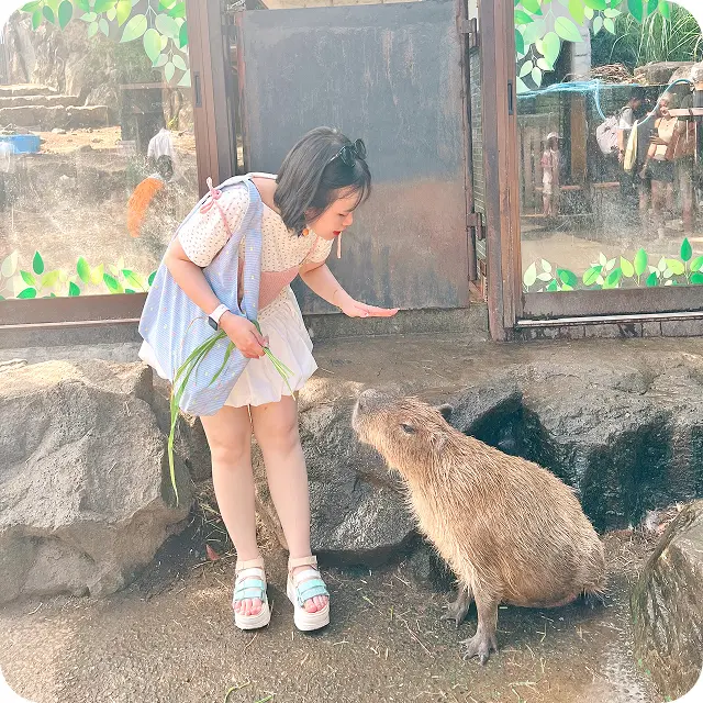 G.Rがプライベートで出かけた時の写真